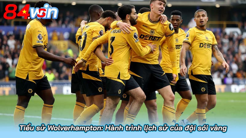 Tiểu sử Wolverhampton: Hành trình lịch sử của đội sói vàng